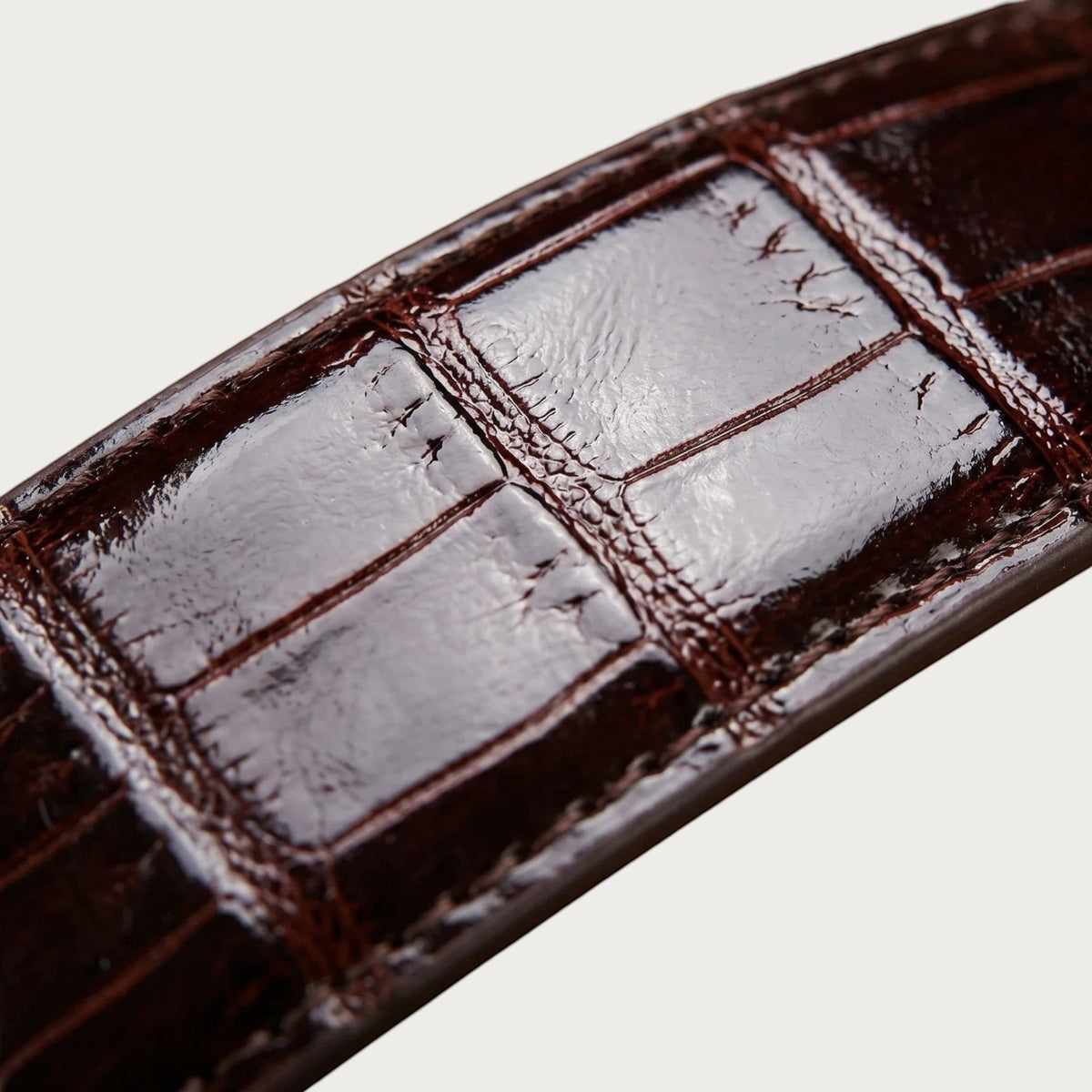 Gros plan sur la ceinture Ceintura Benevento en similicuir marron café avec un motif gaufré effet crocodile brillant.