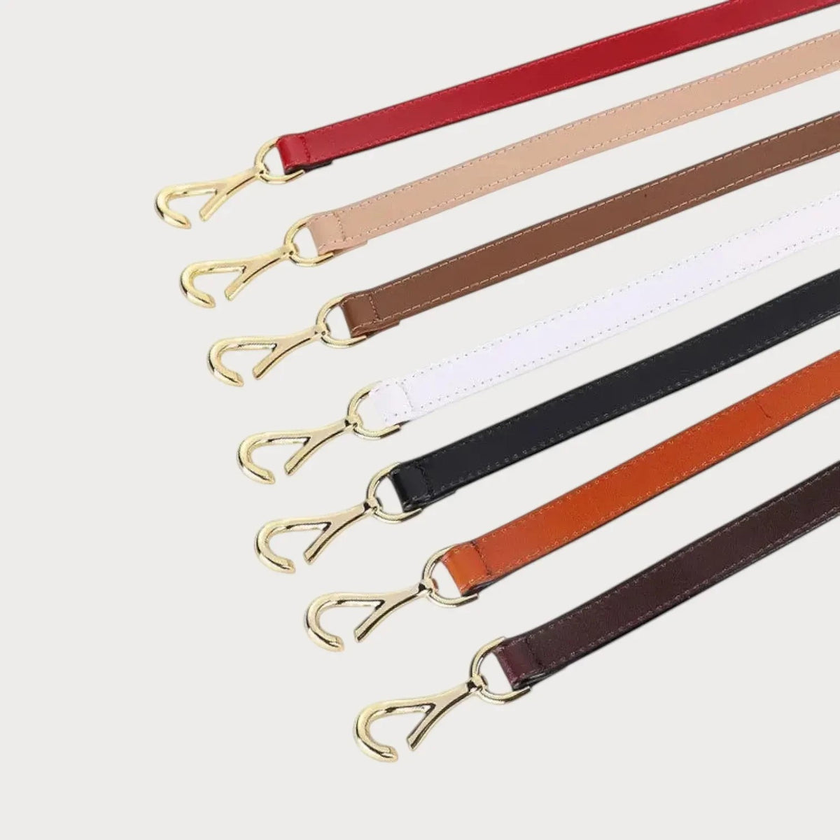 Ceintura, ensemble de ceintures fines en cuir véritable avec boucle mors dorée, disponibles en plusieurs couleurs.